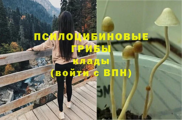сатива Балабаново