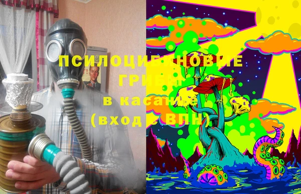 сатива Балабаново